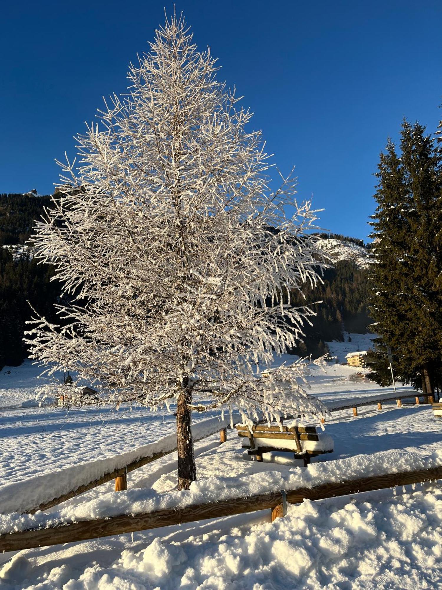 Apartament Mes Lastei Campitello di Fassa Zewnętrze zdjęcie